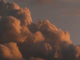 dealing-with-the-loss-of-someone-you-love