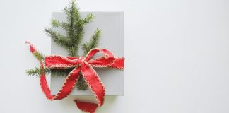 Christmas Gifts (Which Are Not Books ) for Books Lovers christmas-gifts-which-are-not-books-for-books-lovers