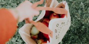 the-zero-waste-lifestyle-tips-for-beginners-on-how-to-live-trash-free
