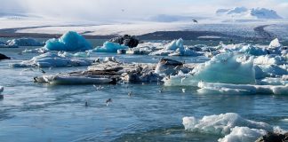 melting-ice-the-cause-for-ancient-viruses-revival