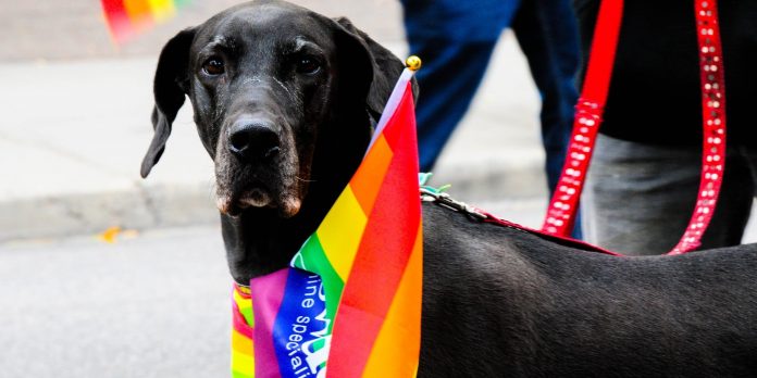 3 amazing LGBTQ+ movies that will bring you joy 3 amazing LGBTQ+ movies that will bring you joy