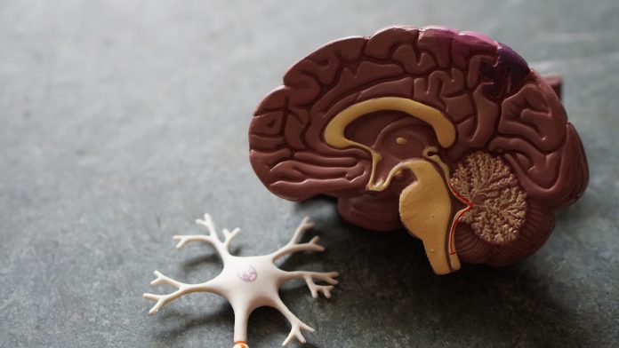 keep-it-smart-ways-to-improve-your-memory