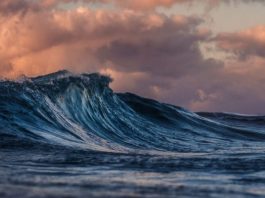 waves-3-great-things-ive-learned-in-the-last-months