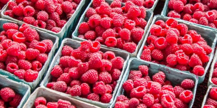 Raspberries