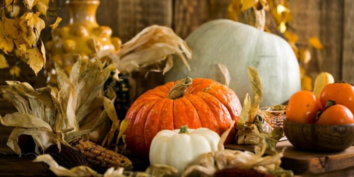 pumpkin-inspired-recipes-for-the-upcoming-autumn pumpkin-inspired-recipes-for-the-upcoming-autumn