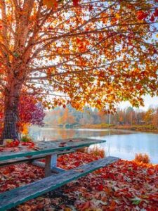 autumn