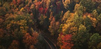 Autumn around the world – 3 wonderful celebrations autumn celebrations