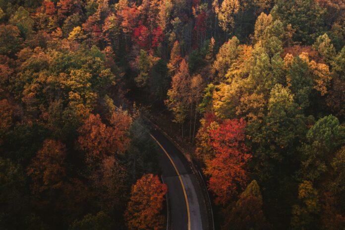 autumn celebrations