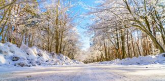 7 activities that will keep you entertained and enthusiastic during the coldest months of the year   7-activities-that-will-keep-you-entertained