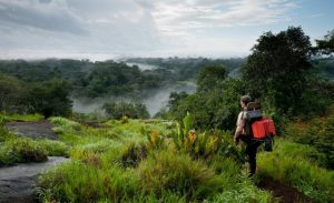 Guyana Amazonian Park